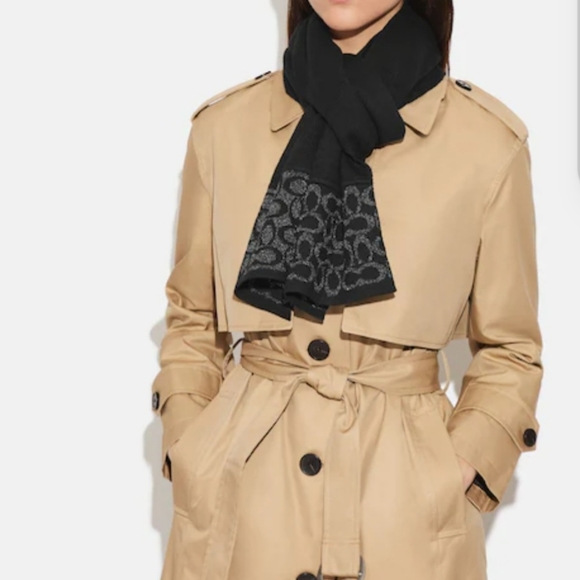 SIGNATURE OBLONG SCARF - Picture 2 of 2